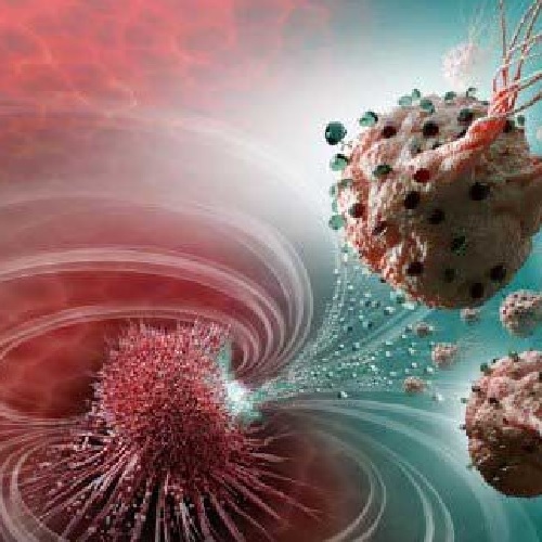 دوره آموزشی  از زیست پالایی تا نانو تکنولوژی: نقش باکتری های مگنتوتاکتیک در حذف فلزات سنگین و رادیونوکلئوئید